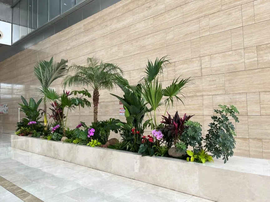 宁波镇海绿植出租服务好