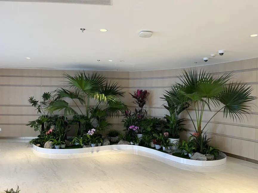 北仑花卉租赁服务好